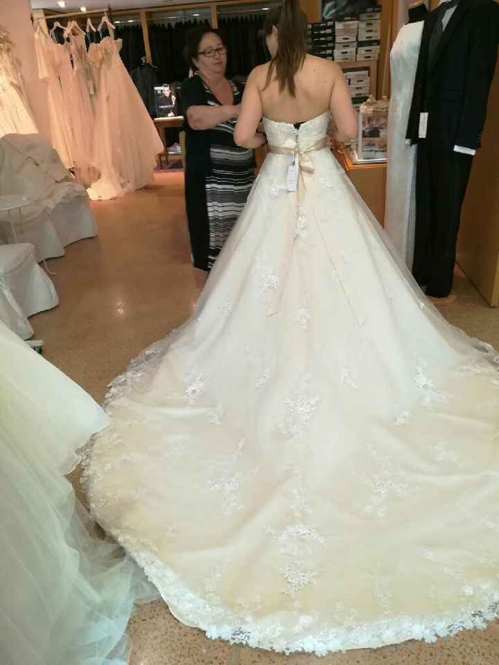 Trovato l'abito.. ma come sarà? - 1