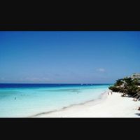 Safari  tanzania+zanzibar: profilassi si o no? - 1