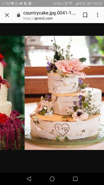 Consiglio per torta - 1