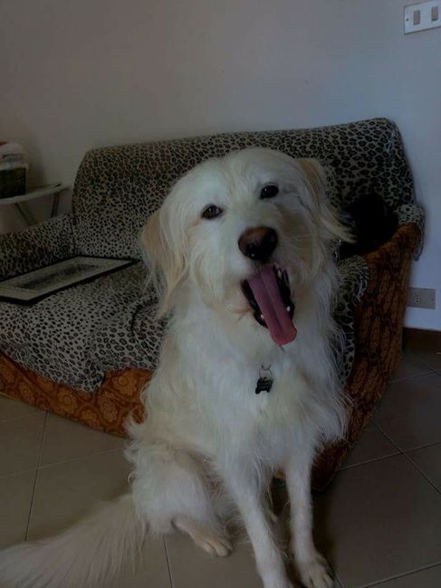 Lui e la sua cucciola. - 1