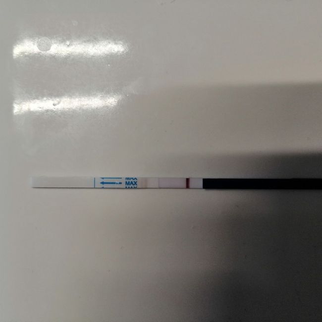 Chi non le aspetta per febbraio 2021 🤞🏼♥️🐣 - 1