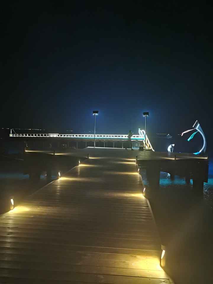 Proposta di matrimonio - 1