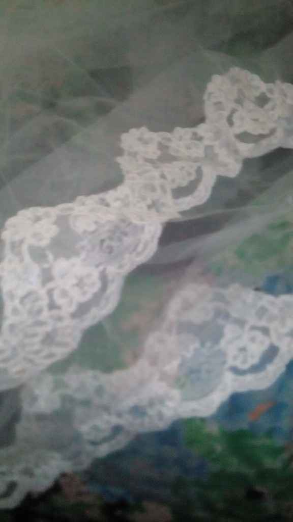 Velo acquistato on line - 1