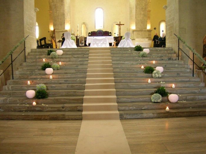 Alla ricerca dei fiori 🌸 - 2