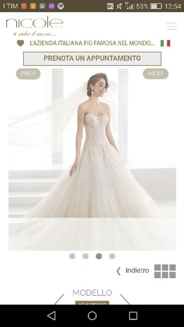 Chi di voi ha provato o acquistato un modello Jolies/aurora/ronald Joyce 2019?!mostrate le foto futu