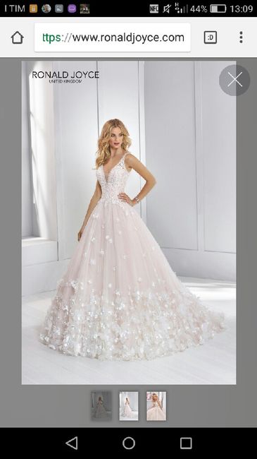 Chi di voi ha provato o acquistato un modello Jolies/aurora/ronald Joyce 2019?!mostrate le foto futu