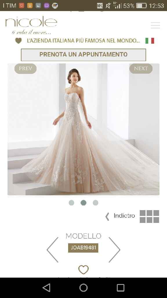 Chi di voi ha provato o acquistato un modello Jolies/aurora/ronald Joyce 2019?!mostrate le foto futu