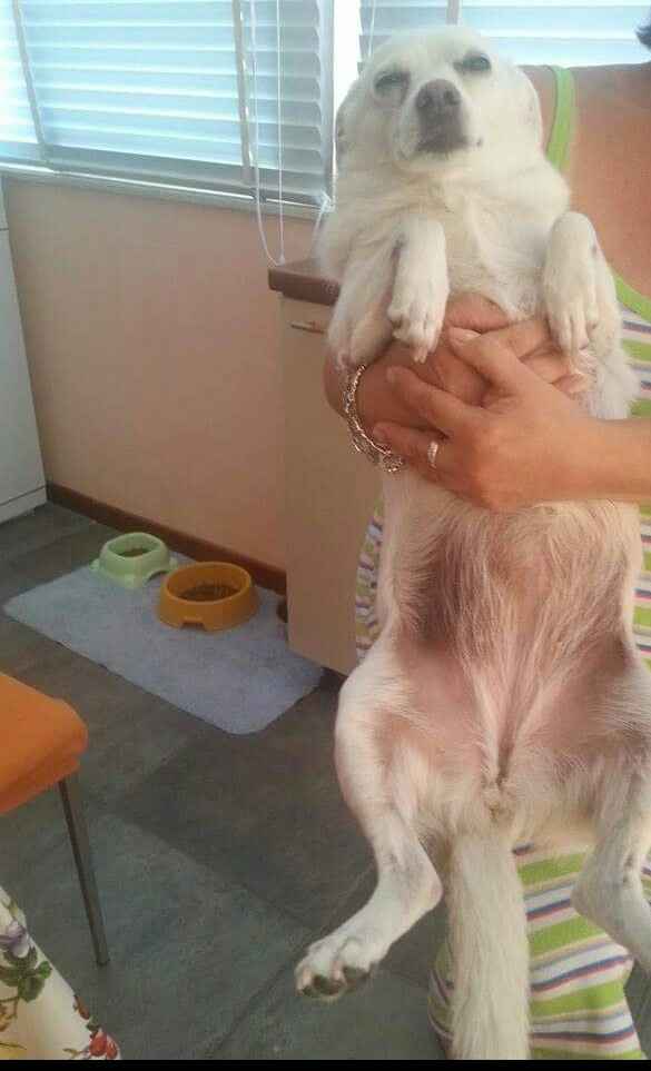 Vi presento nina! - 1