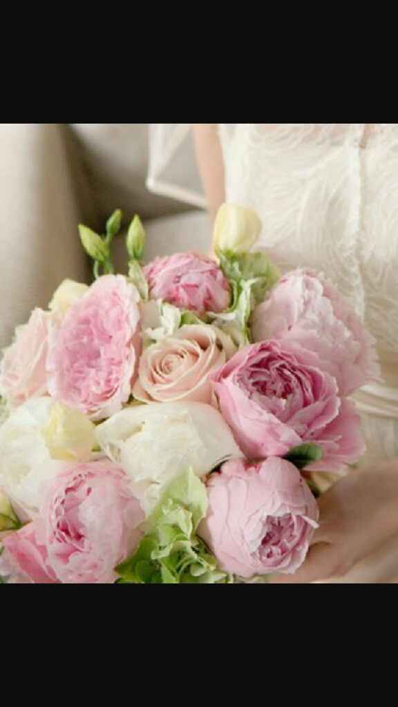 Rose rosse o peonie? - 2