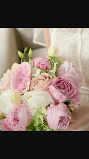 Rose rosse o peonie? - 2