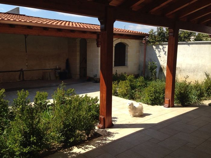 Vi presento la mia casa... - 6