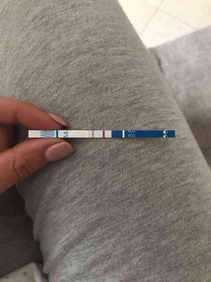 Aspiranti pancine di maggio ❤️ - 1