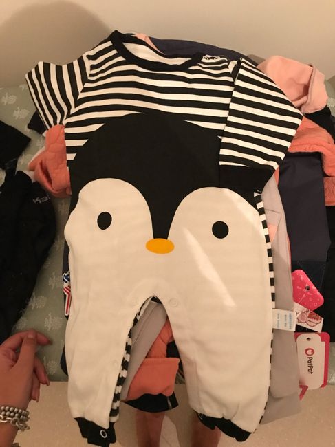  è arrivata ...la voglia matta di Comprare!!! - 2