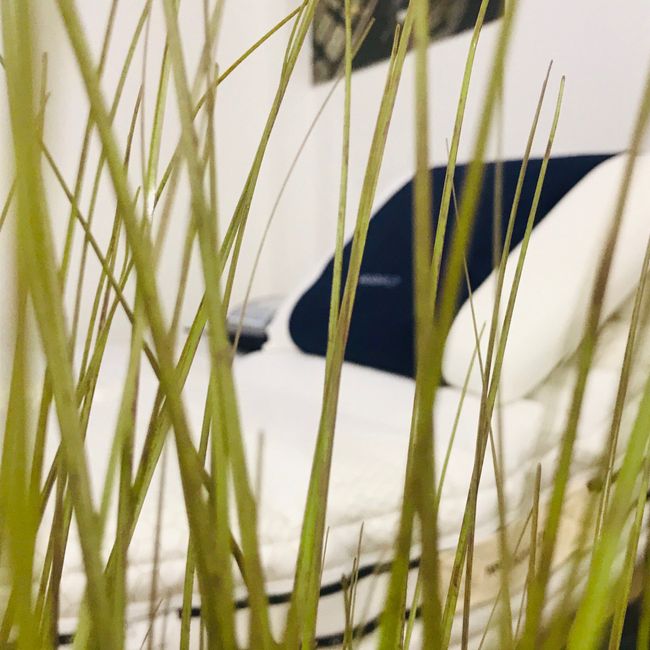 #Angolonotte♥️🌙🌸 - 6