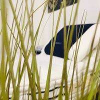 #Angolonotte♥️🌙🌸 - 6