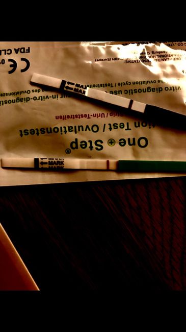 Chi non le aspetta per febbraio 2021 🤞🏼♥️🐣 - 2