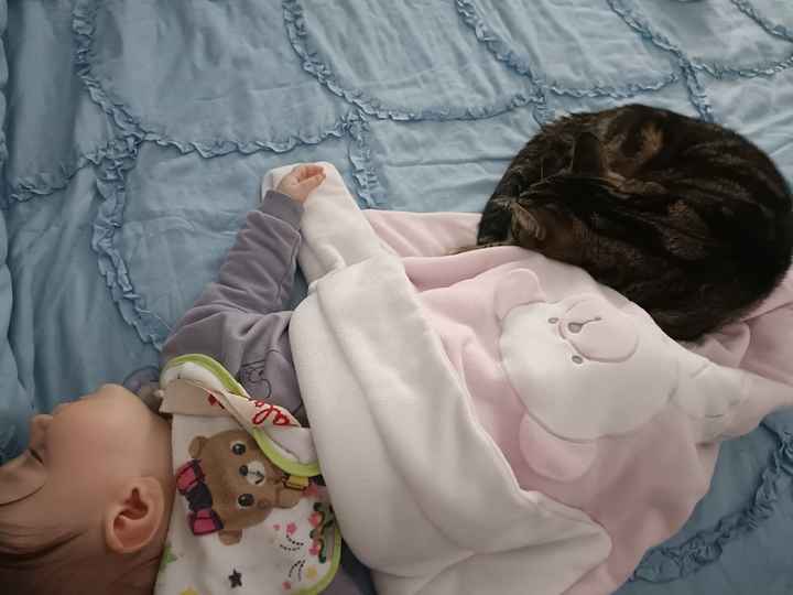 Future mamma novembre 2022 🍇🍁🧸 - 1