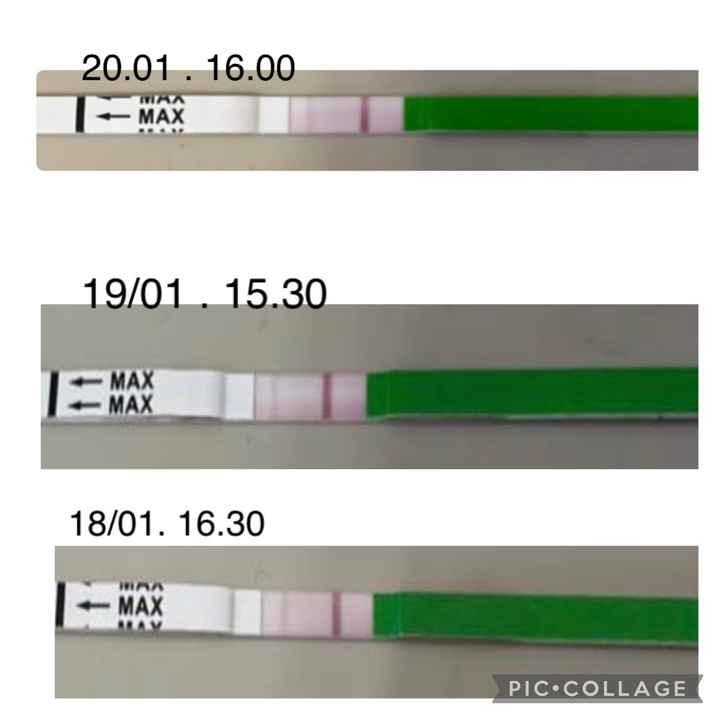 Chi non le aspetta per Febbraio 2024 👩‍❤️‍👨❣️ - 1