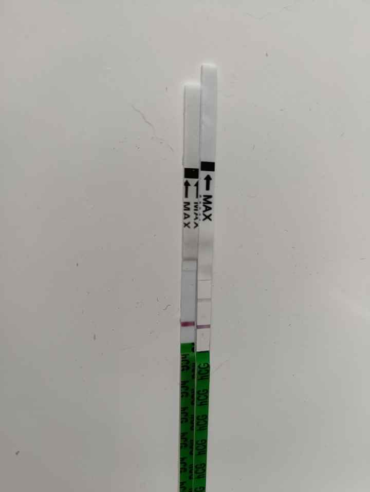 Per chi non le aspetta ottobre, novembre e dicembre 2024🍀🐞 - 1