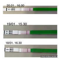 Chi non le aspetta per Febbraio 2024 👩‍❤️‍👨❣️ - 1