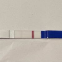 Chi non le aspetta per maggio 2024 🌹💛 - 1