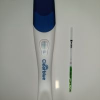 Per chi non le aspetta ottobre, novembre e dicembre 2024🍀🐞 - 1