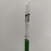 Per chi non le aspetta ottobre, novembre e dicembre 2024🍀🐞 - 1