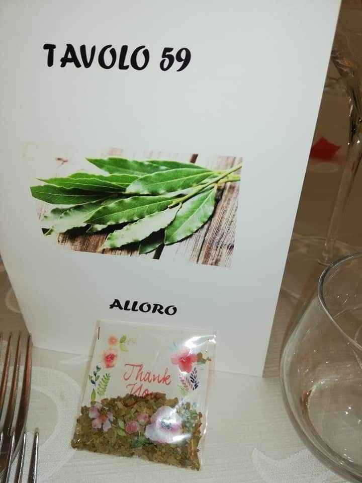 Un sogno diventato realtà ❤️❤️❤️ - 19