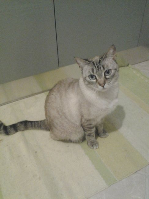 I nostri cuccioli!!! - 1