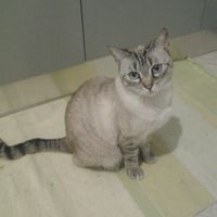 I nostri cuccioli!!! - 1