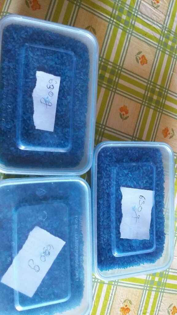 Riso colorato...mi date istruzioni - 1