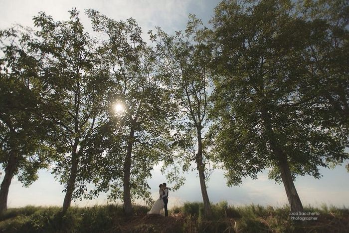 Foto ufficiali... - 16