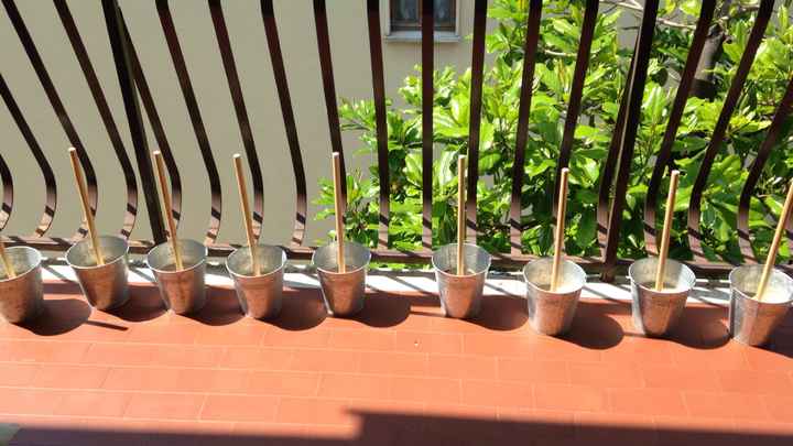 Piantando centrotavola - 1