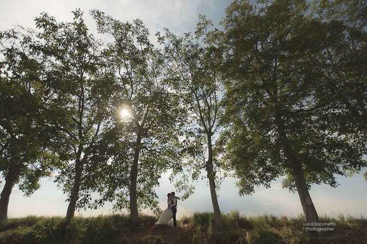 Foto ufficiali... - 16