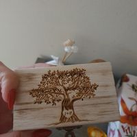 Piccola damigella - 2