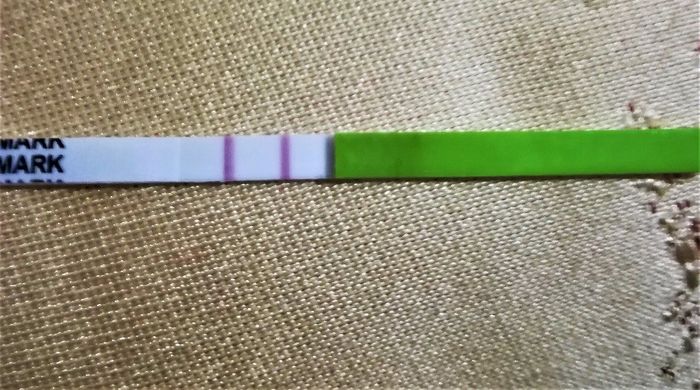 Stick ovulazione gravidanza