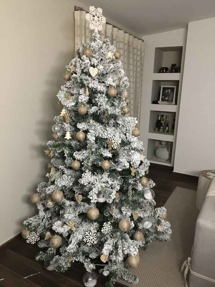 I nostri alberi.... - 1