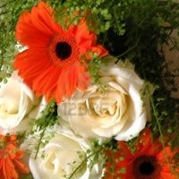 Bouquet di gerbere arancio e rose