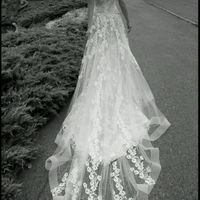 Alessandra rinaudo - collezione 2016 - 2