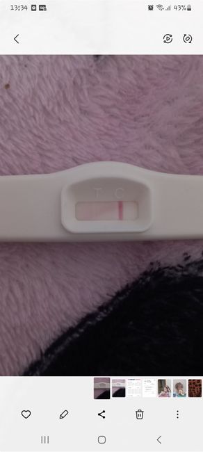 Test linea bianca🙄 - 2