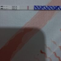 Chi non le aspetta per Maggio 2023 - 1