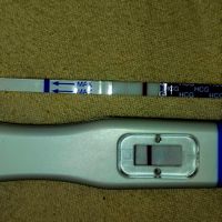 Voi che dite.....? Ci spero? - 1