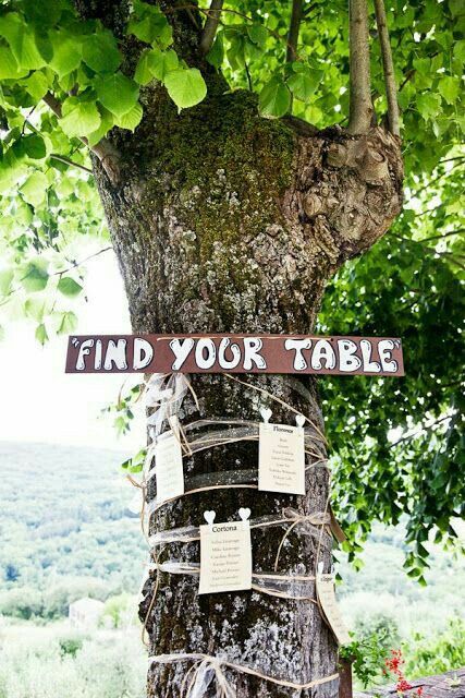 Nomi di alberi sul tableau 1