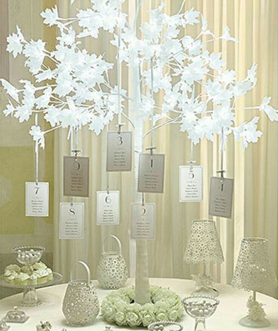 Nomi di alberi sul tableau 5