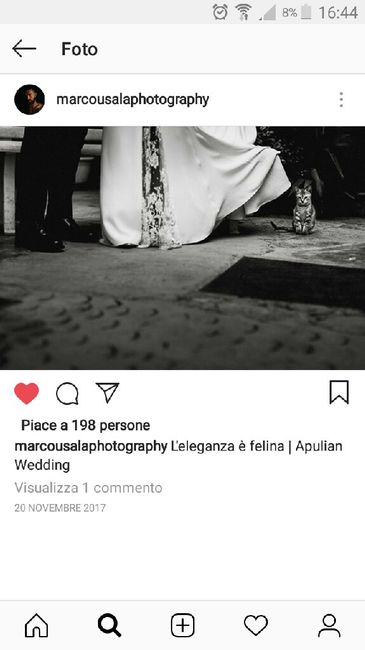 Foto con il nostro cane/gatto - 1