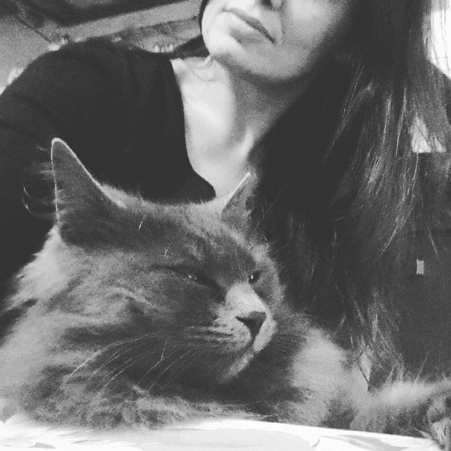 Noi e i nostri amici 4 zampe - 2