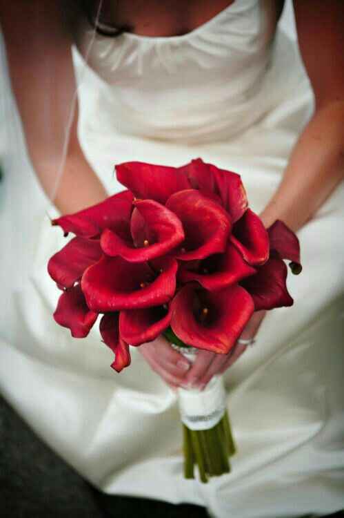 Fiori.. - 4
