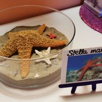 Matrimonio tema mare - 1