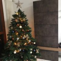 Fatto anche l'albero di Natale! - 1