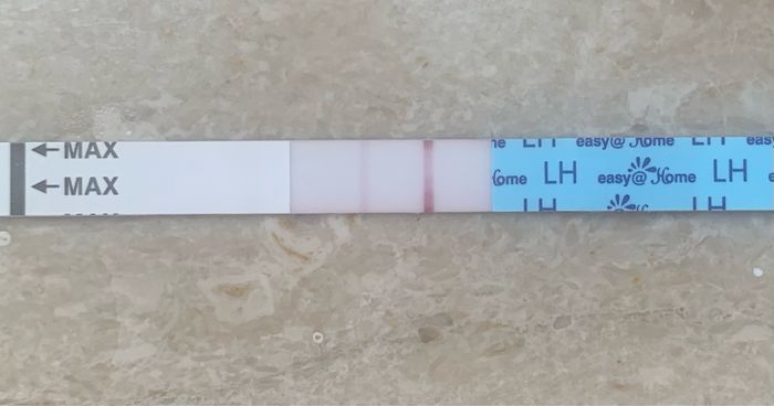 11 giorno ciclo e test ovulazione 9
